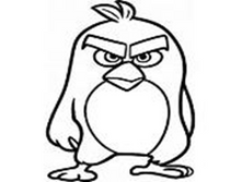 Image504.png