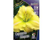 78,15���. �������� �������� ������(�������� ���� �� 2 ��., ����������� ����� 1��.).jpg