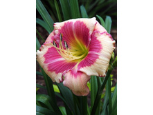 180���. �������� ������ �������(�������� ���� �� 1 ��., ����������� ����� 1��.).jpg