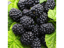 161���. ������� ��������� ���� �����.jpg