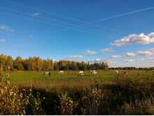 P 20161002 145651.jpg