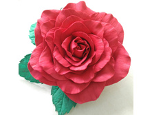 ���� (��������)