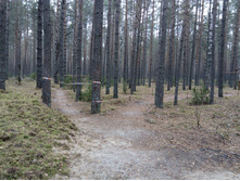 IMG 20161029 080848.jpg