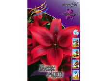 18,9���. ����� ���� ���(��� 7 ��. ���������� �� 2��.).jpg