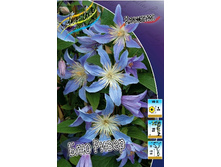 251,9���. �������� ��� �����(�������� ���� �� 2 ��., ����������� ����� 1��.).jpg