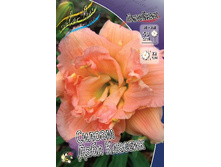 180���. �������� ������ ���� �������(�������� ���� �� 1 ��., ����������� ����� 1��.).jpg