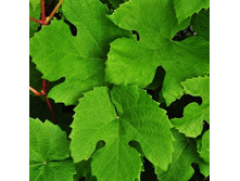 209���. �������� ��������� ������.jpg