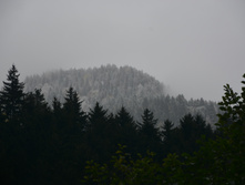 DSC 6973.JPG