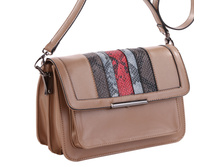 8267 ���� ���.jpeg