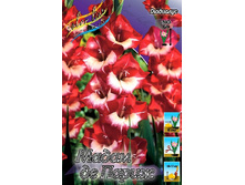 10,7���. ��������� ����� �� �����(���������� �� ����� �������� �� 7��.).jpg