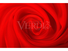 ����� �������.jpg