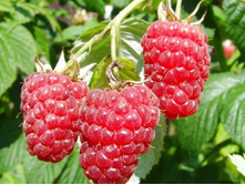 ������ ����� �����-179.jpg