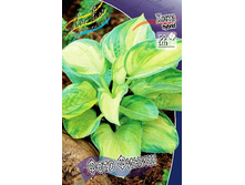 172,1���. ����� ���� �����(�������� ���� �� 1 ��., ����������� ����� 1��.).jpg