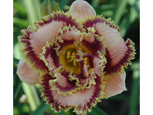 187,9���. �������� �������� �����(�������� ���� �� 1 ��., ����������� ����� 1��.)���16.jpg