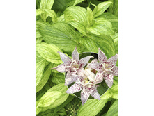 187,9���. ��������� ��������� ������(�������� ���� �� 1 ��., ����������� ����� 1��.).jpg