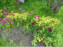 DSCN2117.JPG