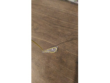 P 20161020 120700.jpg