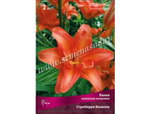 ����� ��������� �������.jpg