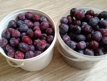 ����� �����