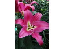 34,9���. ����� ��������(��� 5 ��. ���������� �� 2��.).jpg