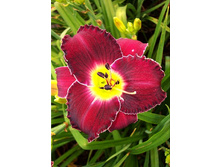 203,7���. �������� ���� ����(�������� ���� �� 1 ��., ����������� ����� 1��.)���17.jpg