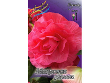 35,38���. ������� �������� �������(��� 5 ��. ���������� �� 2��.).jpg