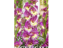 13,2���. ��������� ���� ������(���������� �� ����� �������� �� 7��.)���17.jpg