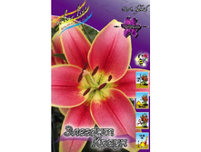 32,36���. ����� ������� �����(��� 5 ��. ���������� �� 2��.).jpg