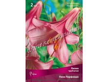 ����� ���� ��������.jpg