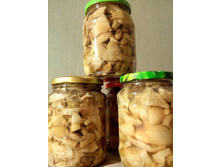 ������� ������������