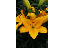 18,9���. ����� ����(��� 7 ��. ���������� �� 2��.)���17.jpg