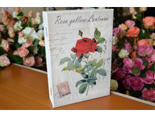 �������� "Rosa gallica Lontiana" ������: 7463