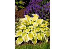 180���. ����� ������ ������(�������� ���� �� 1 ��., ����������� ����� 1��.).jpg