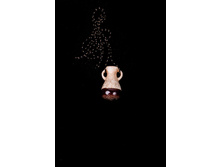 45 ���.������: �����