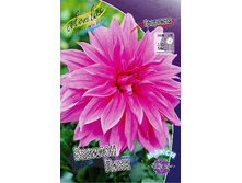 79,3���. �������� ������� ����(�������� ���� �� 1 ��., ����������� ����� 1��.).jpg