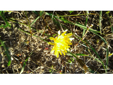 20161001 155750.jpg