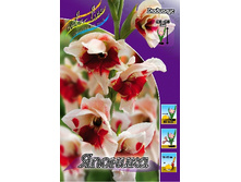 9,41���. ��������� �������(���������� ������ ������ ���������� �� 9 ��.).jpg