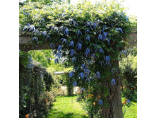 �������� ������-185.jpg