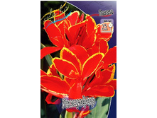 62,35���. ����� (�����) �������(�������� ���� �� 2 ��., ����������� ����� 1��.).jpg