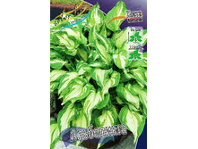 46,55���. ����� ����������(�������� ���� �� 2 ��., ����������� ����� 1��.).jpg