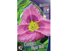 101,85���. �������� ������ ��� ���(�������� ���� �� 2 ��., ����������� ����� 1��.).jpg