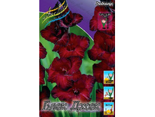 8,53���. ��������� ���� ����(���������� ������ ������ ���������� �� 7 ��.).jpg