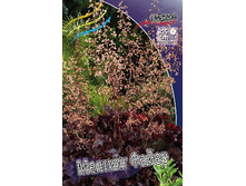 93,95���. ������� ������� �����(�������� ���� �� 2 ��., ����������� ����� 1��.).jpg