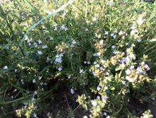 IMG 20160702 174053.jpg