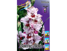 9,41���. ��������� ���� ���(���������� ������ ������ ���������� �� 9 ��.).jpg