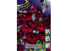 8,53���. ��������� �������(���������� ������ ������ ���������� �� 7 ��.).jpg