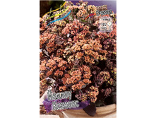 148,4���. ������ ������ �������(�������� ���� �� 1 ��., ����������� ����� 1��.).jpg