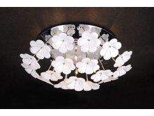 SL729.102.12 5100�.jpeg