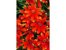 164,2���. ��������� �������(�������� ���� �� 1 ��., ����������� ����� 1��.)���17.jpg