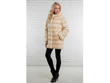 ���� �� ����� �����